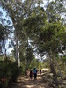 photo thumbnail #2