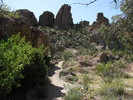 photo thumbnail #3