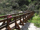 photo thumbnail #10