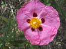 photo thumbnail #15