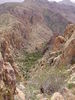 photo thumbnail #12