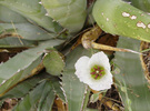 photo thumbnail #15