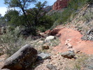 photo thumbnail #8