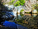 photo thumbnail #6