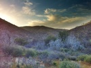 photo thumbnail #9
