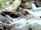 photo thumbnail #11