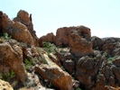 photo thumbnail #12
