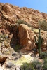 photo thumbnail #13