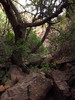 photo thumbnail #6