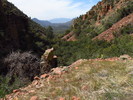 photo thumbnail #12