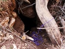 photo thumbnail #10