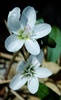photo thumbnail #15