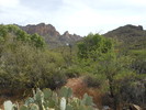 photo thumbnail #7