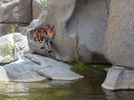 photo thumbnail #7