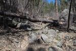 photo thumbnail #8
