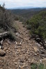 photo thumbnail #13