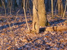 photo thumbnail #3