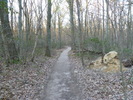 photo thumbnail #5