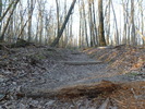 photo thumbnail #6
