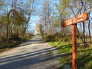 photo thumbnail #12