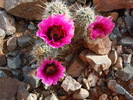 photo thumbnail #1