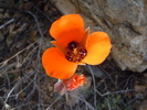photo thumbnail #2