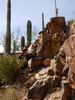 photo thumbnail #6