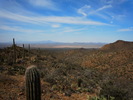 photo thumbnail #9