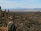 photo thumbnail #10