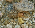 photo thumbnail #14