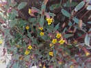 photo thumbnail #8