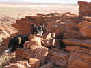 photo thumbnail #6