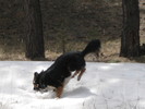photo thumbnail #2