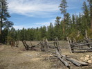 photo thumbnail #4