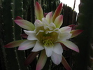 photo thumbnail #1