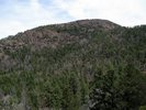 photo thumbnail #8