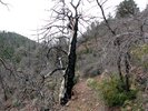 photo thumbnail #12