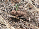 photo thumbnail #14