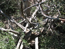 photo thumbnail #15
