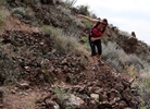 photo thumbnail #4