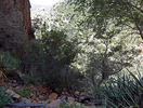 photo thumbnail #8