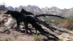 photo thumbnail #6