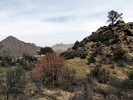 photo thumbnail #8