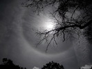 photo thumbnail #14
