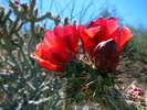 photo thumbnail #2