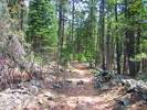 photo thumbnail #1