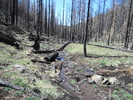 photo thumbnail #4