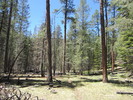 photo thumbnail #8