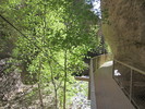 photo thumbnail #13
