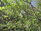 photo thumbnail #15
